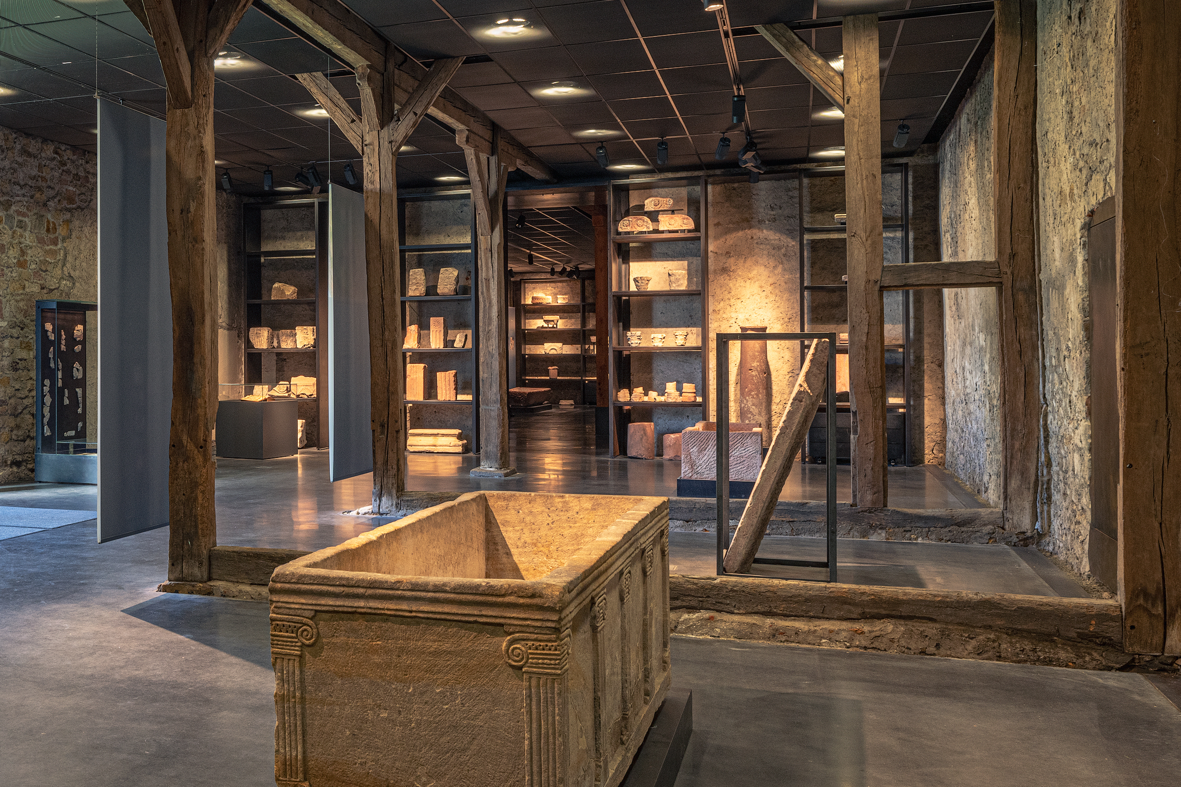 Bild: Michael C. Thumm