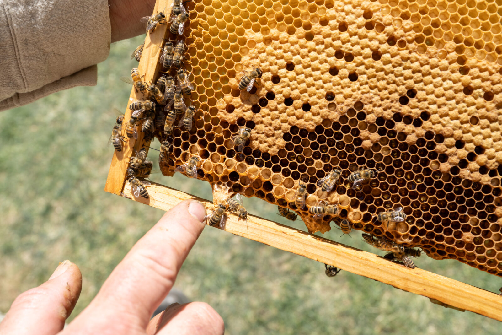 Bild: Stefan Schmidt